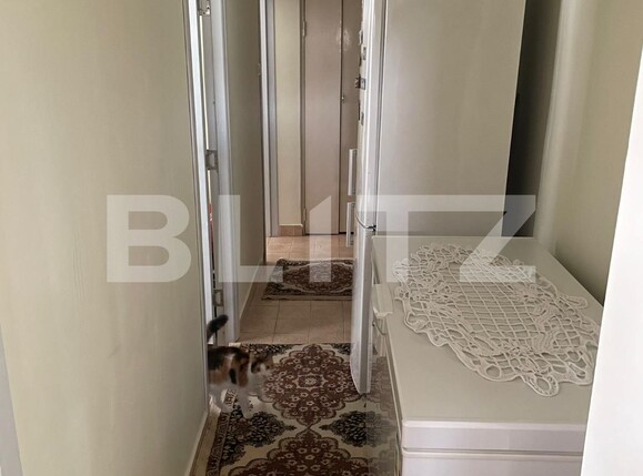 Apartament de vânzare 2 camere Siderurgistilor - 116406AV | BLITZ Galati | Poza3