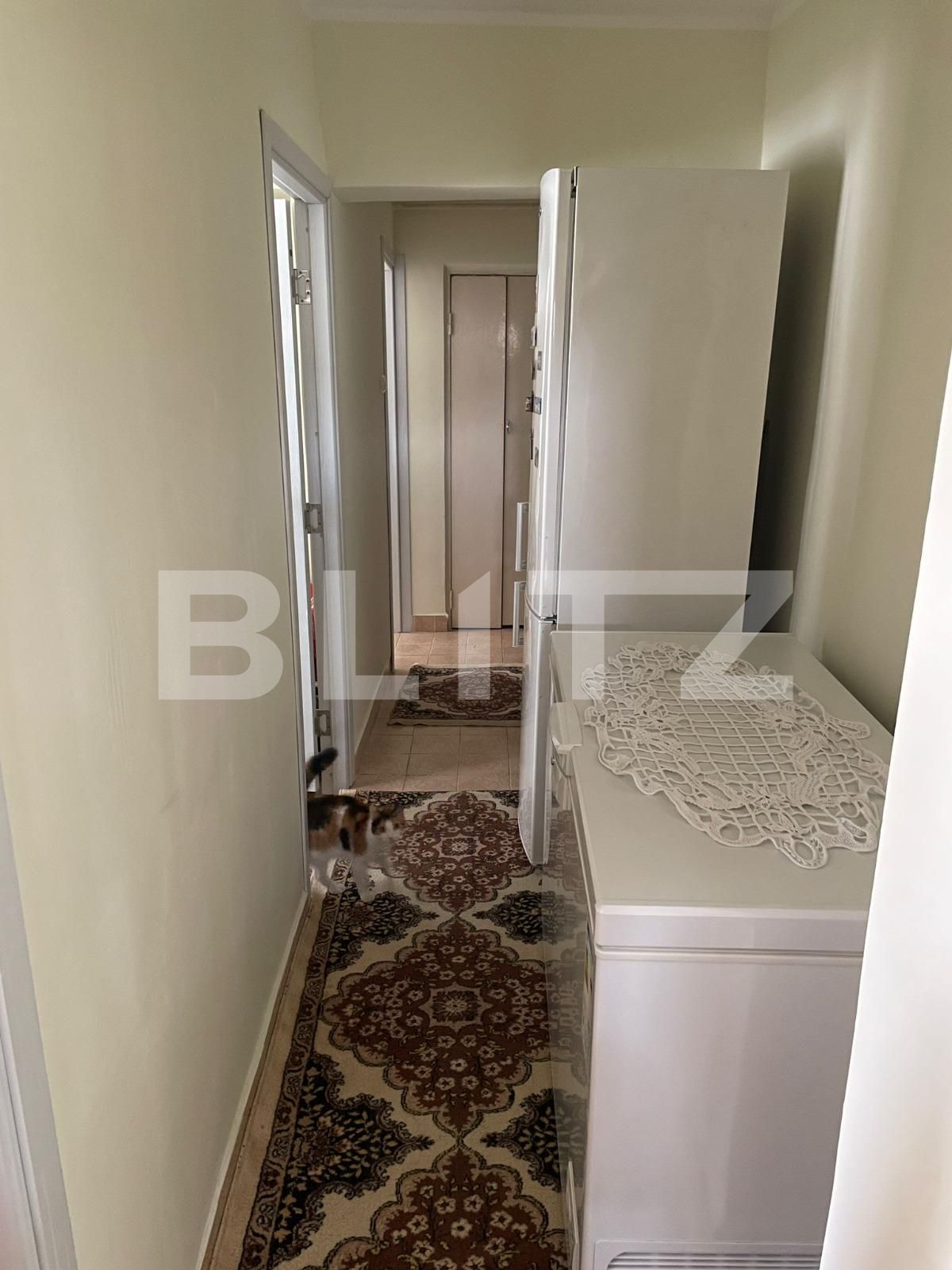 Apartament de vânzare 2 camere Siderurgistilor - 116406AV | BLITZ Galati | Poza3