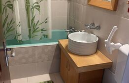 Apartament 2 camere, 48 mp, zona Tiglina 1