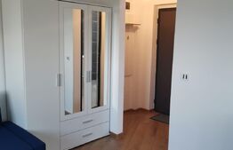 Apartament 1 camera  ,  30 mp , Zona Tiglina 1