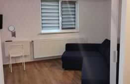 Apartament 1 camera  ,  30 mp , Zona Tiglina 1