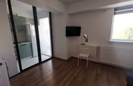 Apartament 1 camera  ,  30 mp , Zona Tiglina 1