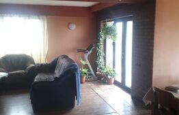 Casa individuala, 5 camere, 234 mp, Tudor Vladimirescu