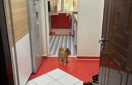 Apartament 3 camere , 60 mp , Zona Micro 17