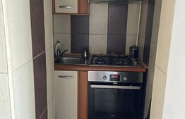Apartament cu 1 camera, 40 mp, zona Modern 