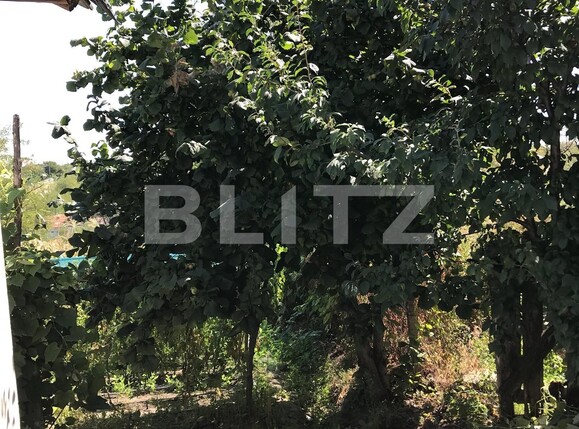 Casa de vânzare 6 camere Nord - 118988CV | BLITZ Galati | Poza14