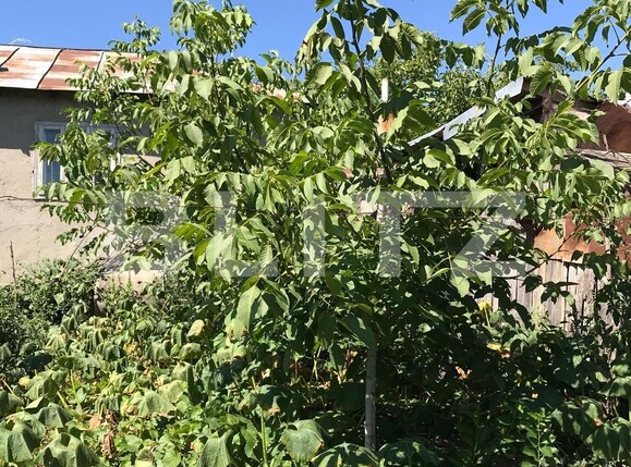 Casa de vânzare 6 camere Nord - 118988CV | BLITZ Galati | Poza9