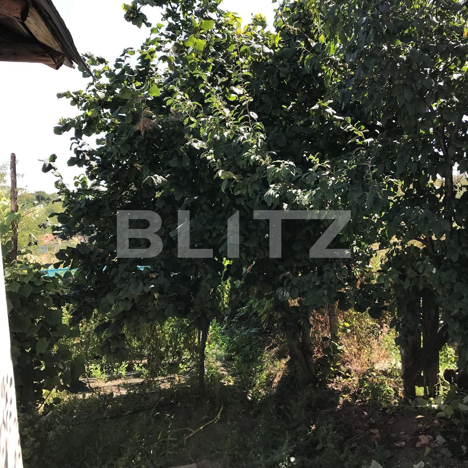 Casa de vânzare 6 camere Nord - 118988CV | BLITZ Galati | Poza14