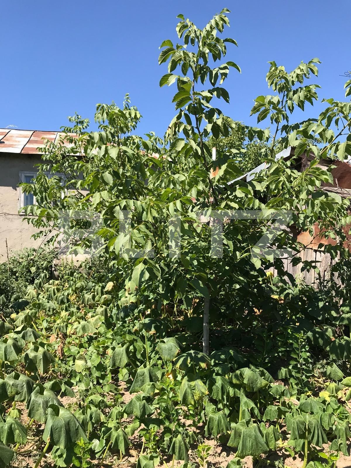 Casa de vânzare 6 camere Nord - 118988CV | BLITZ Galati | Poza9