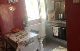 Apartament 2 camere, 47 mp, Ionel Fernic