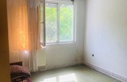 Apartament 2 camere, 50 mp, zona Tiglina 3