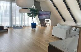 Penthouse - 3 camere, 170mp, Complex Stela  