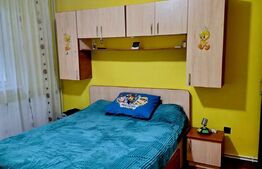 Apartament 2 camere, 50MP, zona IcFrimu