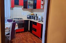 Apartament 2 camere, 50MP, zona IcFrimu