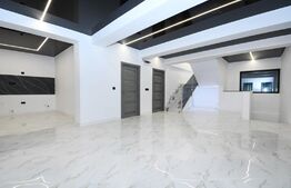 Vila de lux, 4 camere, 300mp, D+P+1E, zona Central