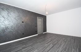 Vila de lux, 4 camere, 300mp, D+P+1E, zona Central