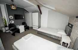Casa 17 camere, 1250 mp, Ultracentral
