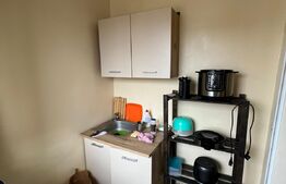 Apartament 1 camera, 23mp, IREG