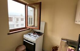 Apartament 1 camera, 23mp, IREG