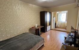Apartament 1 camera, 23mp, IREG