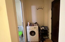 Apartament 1 camera, 23mp, IREG