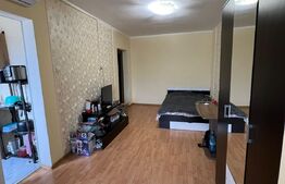 Apartament 1 camera, 23mp, IREG