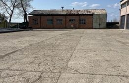 Ansamblu industrial- hala de productie, 7507 mp, zona Exterior Sud 