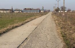 Ferma de nuci - teren agricol, zona Ivesti 