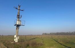 Ferma de nuci - teren agricol, zona Ivesti 