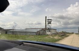 Ferma de nuci - teren agricol, zona Ivesti 