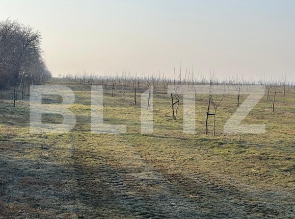 Teren de vânzare Exterior Est - 195339TV | BLITZ Galati | Poza7