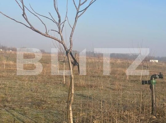 Teren de vânzare Exterior Est - 195339TV | BLITZ Galati | Poza19