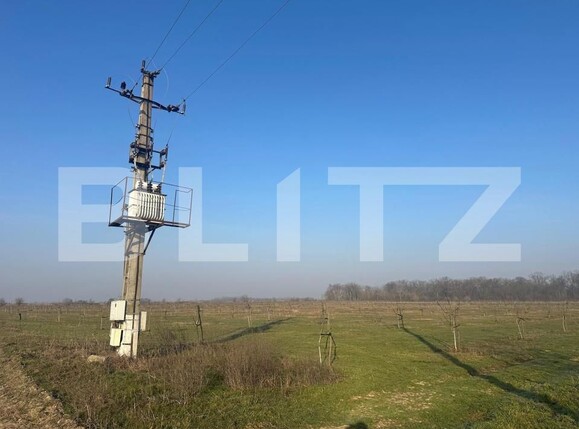Teren de vânzare Exterior Est - 195339TV | BLITZ Galati | Poza16