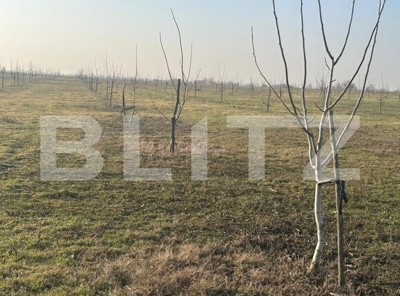 Teren de vânzare Exterior Est - 195339TV | BLITZ Galati | Poza22
