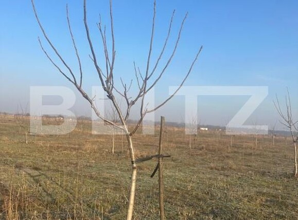 Teren de vânzare Exterior Est - 195339TV | BLITZ Galati | Poza11