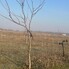 Teren de vânzare Exterior Est - 195339TV - Poza 1 din 23 | BLITZ Galati | Poza18