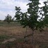 Teren de vânzare Exterior Est - 195339TV - Poza 1 din 23 | BLITZ Galati | Poza4