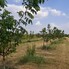 Teren de vânzare Exterior Est - 195339TV - Poza 1 din 23 | BLITZ Galati | Poza12