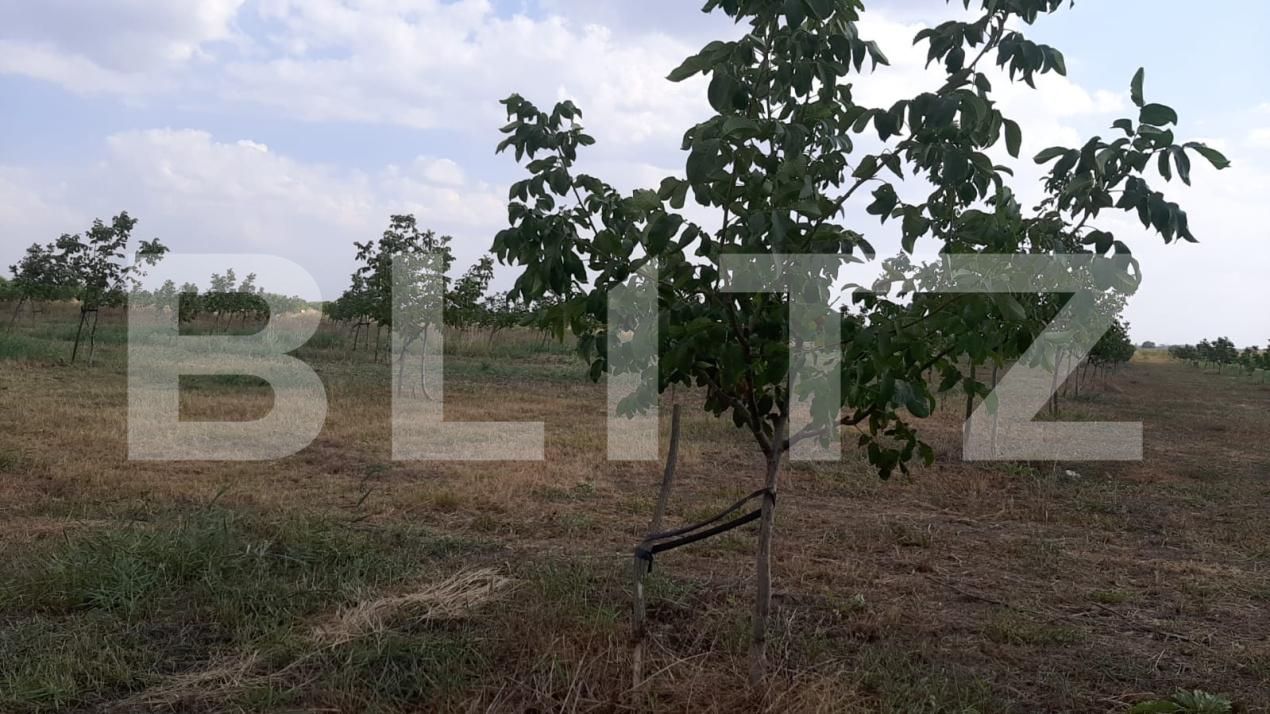 Teren de vânzare Exterior Est - 195339TV | BLITZ Galati | Poza9
