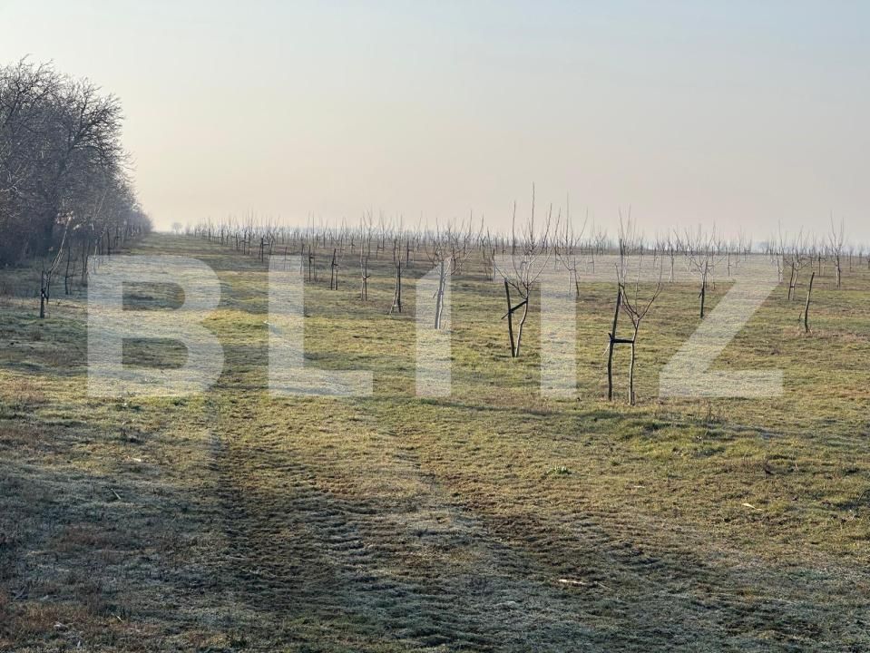 Teren de vânzare Exterior Est - 195339TV | BLITZ Galati | Poza3