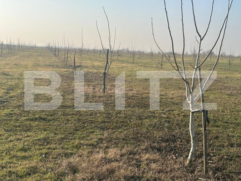 Teren de vânzare Exterior Est - 195339TV | BLITZ Galati | Poza22
