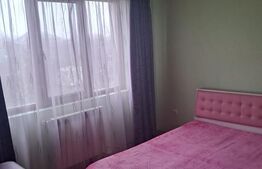 Casa de vanzare, 500 mp, zona Sendreni 