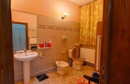 Casa de vanzare, 240 mp, zona Centru