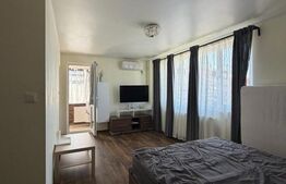 Garsoniera, 30 mp, Mazepa I 