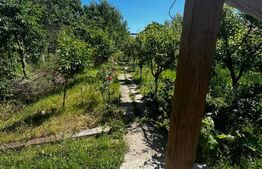 Teren de vânzare, 9030 mp, zona Filești