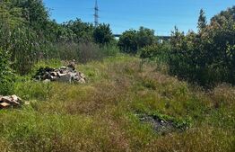 Teren de vânzare, 9030 mp, zona Filești