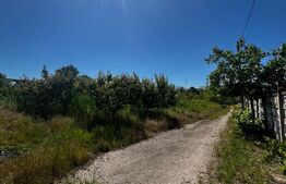 Teren de vânzare, 9030 mp, zona Filești