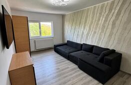 Apartament de vanzare 2 camere, 50 mp, zona Siderurgistilor 