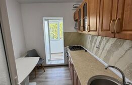 Apartament de vanzare 2 camere, 50 mp, zona Siderurgistilor 