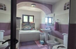 Casa de vanzare, 240 mp, zona Vanatori 